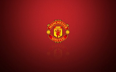 爱游戏体育热议-比利时新帅首秀